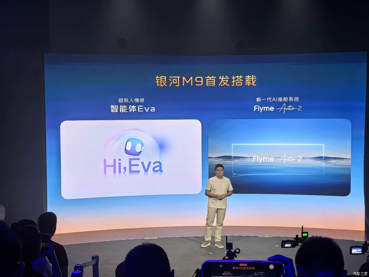 (图12)